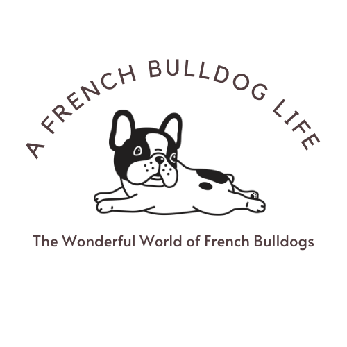 A French bulldog life